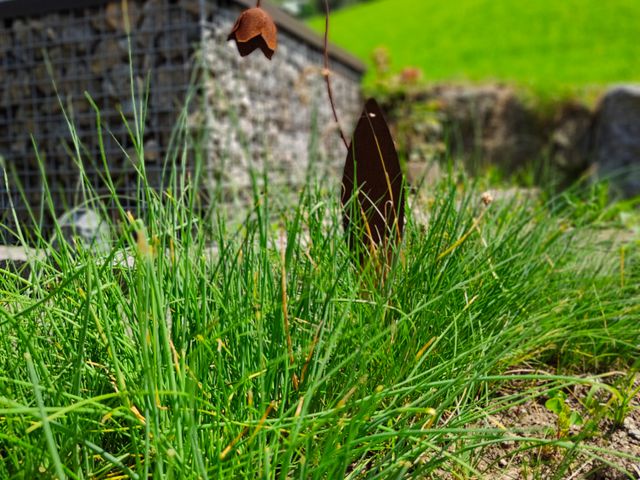 Biobauernhof Obermühle